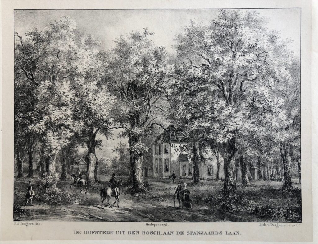 Haarlem Uit Den Bos Lithograph - Haarlem Uit Den Bos antiquariaat devries and devries